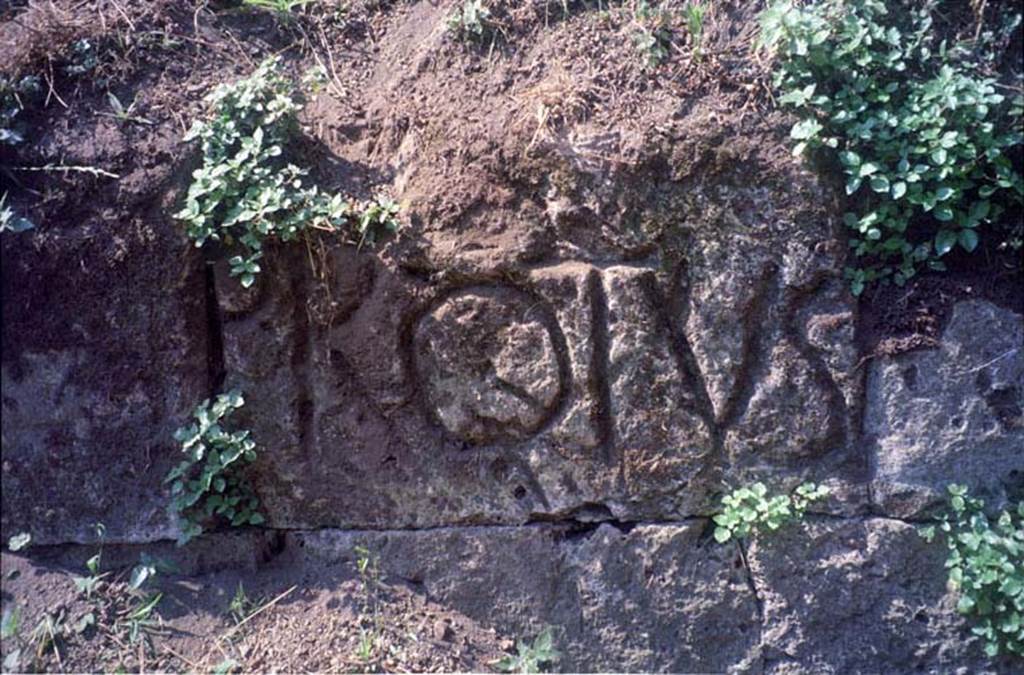 Tombs PSPN Pompeii. July 2011. Inscription to PROTVS on walls near Tower VII. 
Photo courtesy of Rick Bauer.

According to Epigraphik-Datenbank Clauss/Slaby (See www.manfredclauss.de) this reads

Protus      [CIL IV, 2500 = CIL X, 8357 = AE 2004, +00398]
