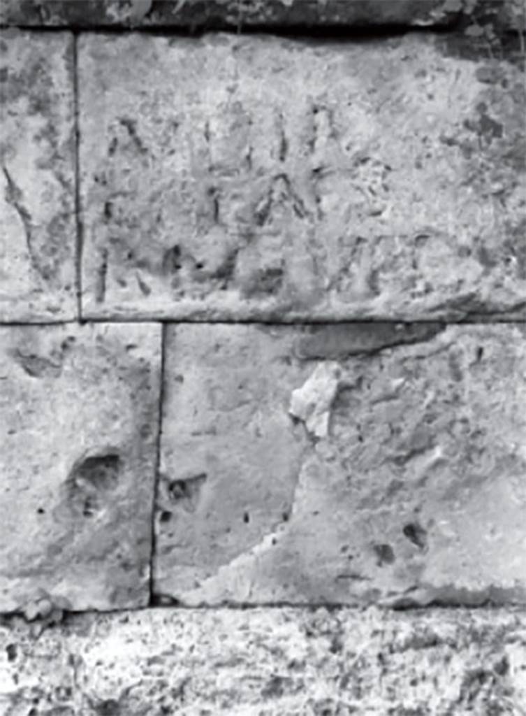 Tombs PSPN Pompeii. 1993. Inscription to Alleia Calaes alleia Numphe.
According to Senatore this reads ALLEIA / CALAES / AL · NVPE.
See Senatore F, 1999. Necropoli e società nell’antica Pompei: In Pompei, il Vesuvio e la Penisola Sorrentina, p. 98.

According to Epigraphik-Datenbank Clauss/Slaby (See www.manfredclauss.de) this reads
Alleia
Calaes
Al(leia) Nu(m)phe      [CIL IV, 2495 (p 466) = CIL X, 8349 = AE 2004, +00398]

Virginia Campbell records this as
Alleia / Calaes / Al(leia) Nu(m)phe
Alleia Calaes and Alleia Numphe.
See Campbell V., 2015. The tombs of Pompeii: organization, space, and society. New York-London: Routledge, p. 336.


