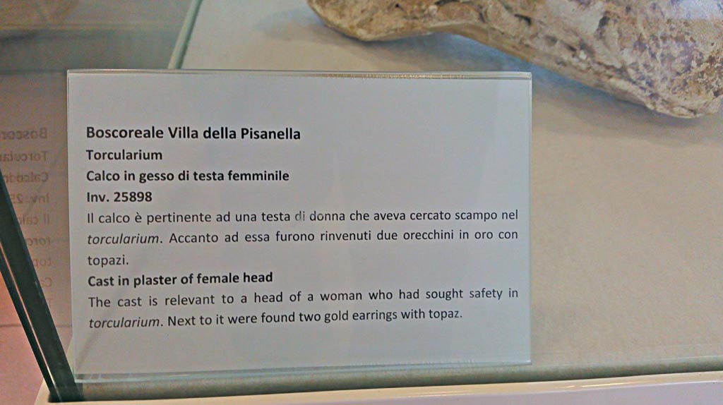 Villa della Pisanella, Boscoreale. December 2018. 
Torcularium P, information card from Boscoreale Antiquarium. Photo courtesy of Giuseppe Ciaramella.
