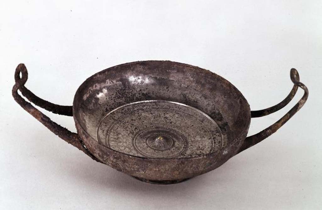Villa della Pisanella, Boscoreale? Stemless silver cup engraved with floral designs and with a gold pin in the centre.
The cup was purchased by the museum from V. Vitalini in 1897. 
The bronze Scylla dish (inventory number BM 1897,0726.7) found in Villa Pisanella was also acquired from V. Vitalini in 1897.
Both items are shown simply on the BM website as Boscoreale. Is this silver cup also from Villa Pisanella?
Photo  Trustees of the British Museum, inventory number BM 1897,0726.1. Use subject to CC BY-NC-SA 4.0.