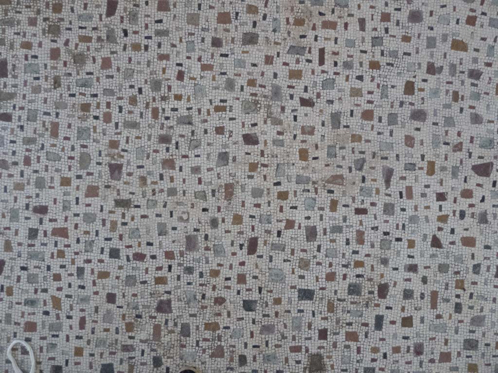 Oplontis Villa of Poppea, September 2017. Room 15, detail of flooring.
Foto Annette Haug, ERC Grant 681269 DÉCOR.
