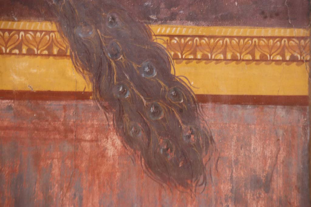 Oplontis Villa of Poppea, September 2021. 
Room 15, detail of tail of painted peacock from north end of east wall. Photo courtesy of Klaus Heese.
