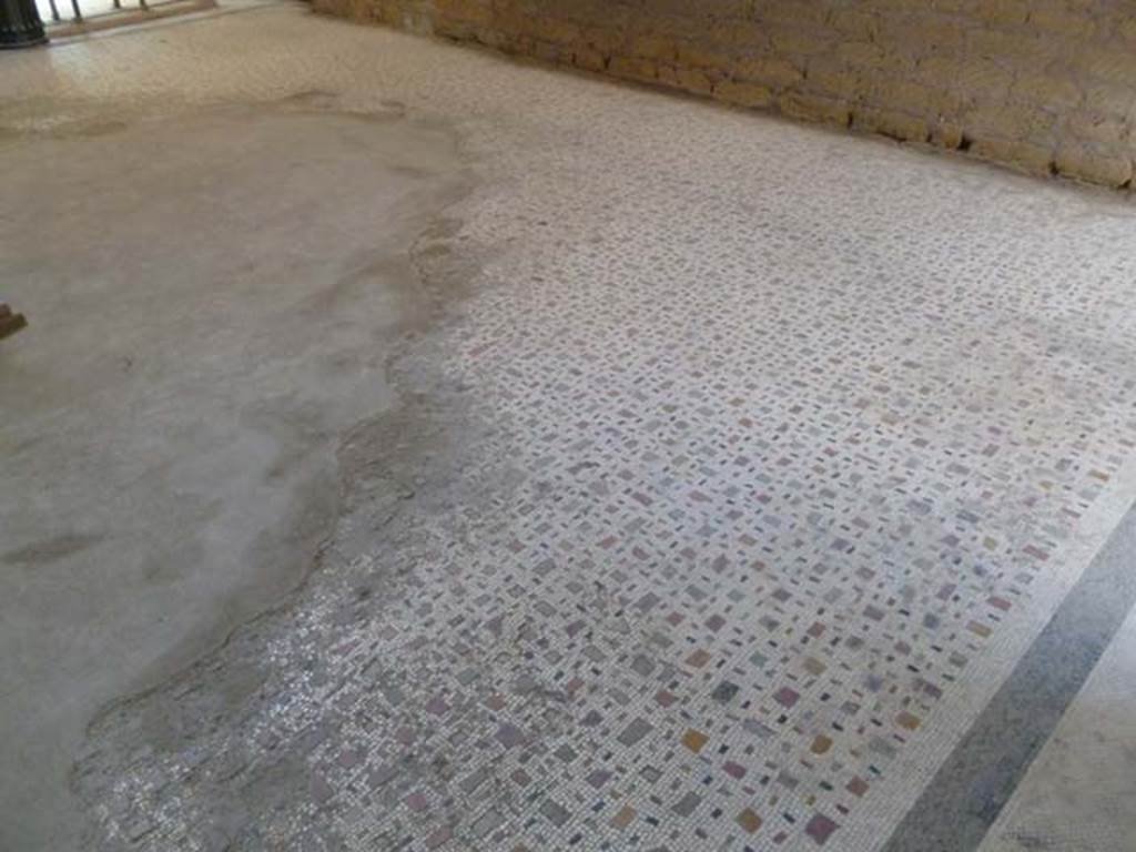 Oplontis, May 2011. Room 15, mosaic floor of the oecus. Photo courtesy of Michael Binns.
