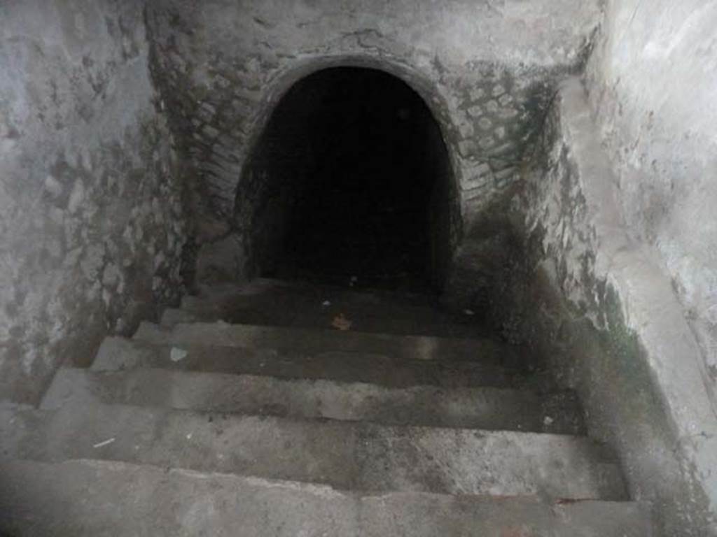 Oplontis, September 2015. Room 36, steps to lower floor. According to Malandrino -  
“After the excavation of the staircase ramp and part of a sloping corridor, exploration was interrupted because of the Sarno Canal above. There are three possible reasons for these stairs: the first was that it was leading to a basement: the second that it gave access to a cryptoporticus which extended along the southern side, and the third that it formed an entrance, on a lower level, from the coastal roadway passing on the southern side.”
See Malandrino, Carlo. 1978. “Oplontis”, Napoli, (p.77-78) 
