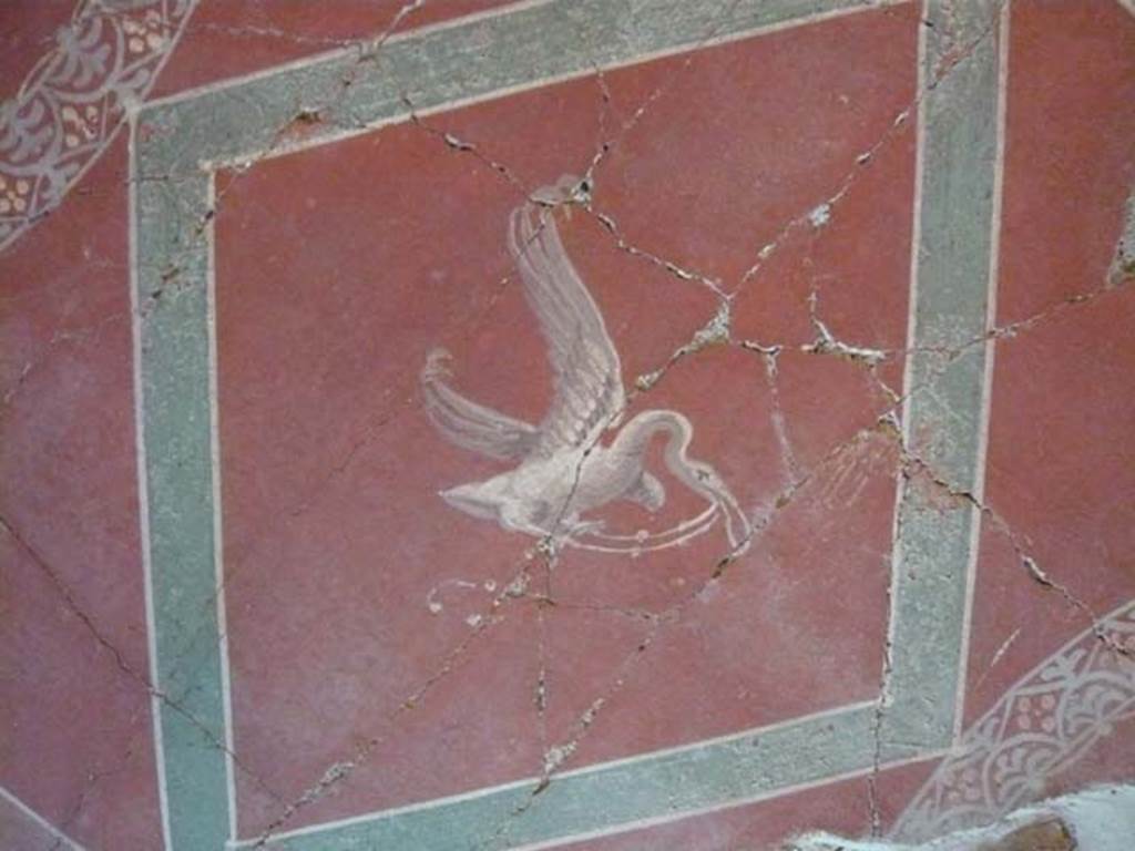 Oplontis, May 2010. Room 38, painted ceiling. Photo courtesy of Buzz Ferebee.