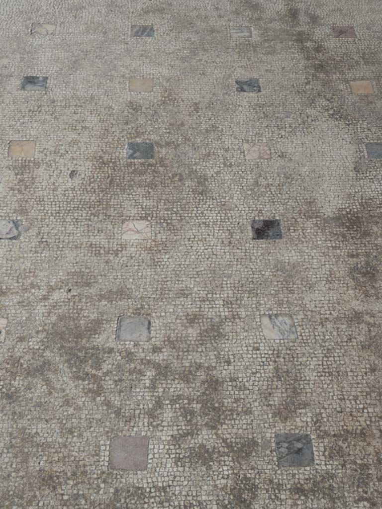Oplontis Villa of Poppea, September 2017. Portico 60, looking south across detail of flooring.
Foto Annette Haug, ERC Grant 681269 DÉCOR.
