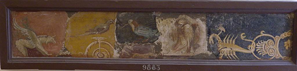 Stabiae, Villa Arianna, atrium, pastiche of wall painting fragments.
Now in Naples Archaeological Museum. Inventory number 9883. 
See Sampaolo V. and Bragantini I., Eds, 2009. La Pittura Pompeiana. Electa: Verona, p. 444.
