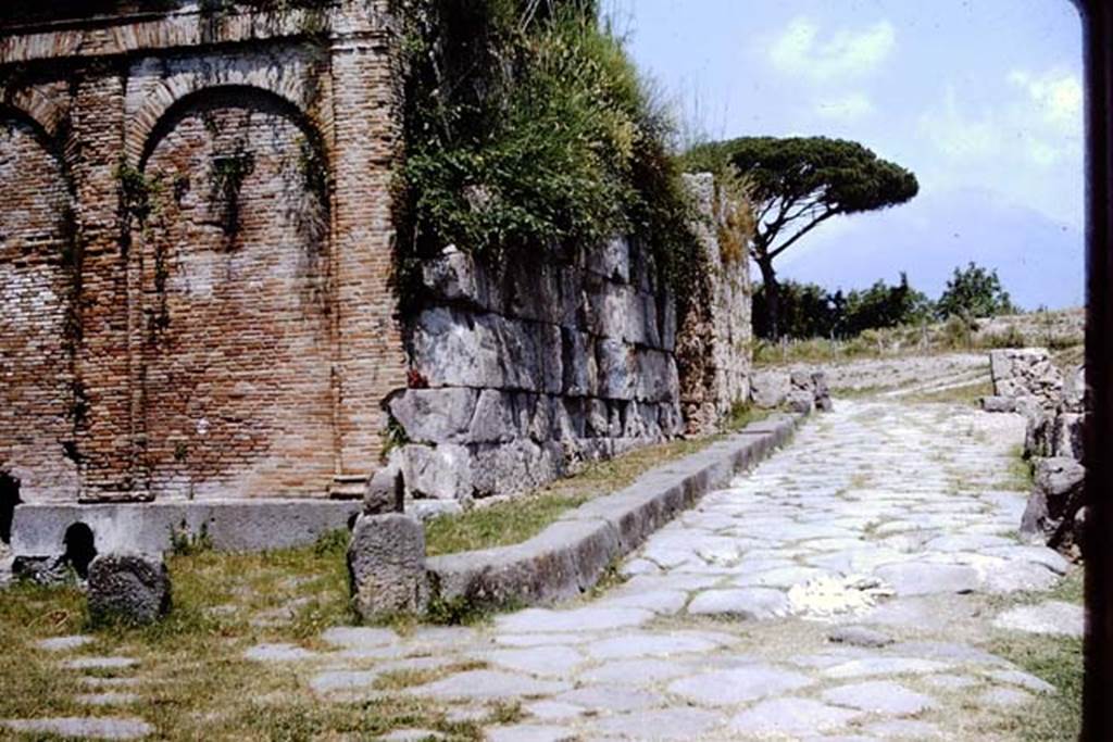 Vesuvian Gate, Pompeii. 1964.  Looking north.  Photo by Stanley A. Jashemski.
Source: The Wilhelmina and Stanley A. Jashemski archive in the University of Maryland Library, Special Collections (See collection page) and made available under the Creative Commons Attribution-Non Commercial License v.4. See Licence and use details.
J64f1617
