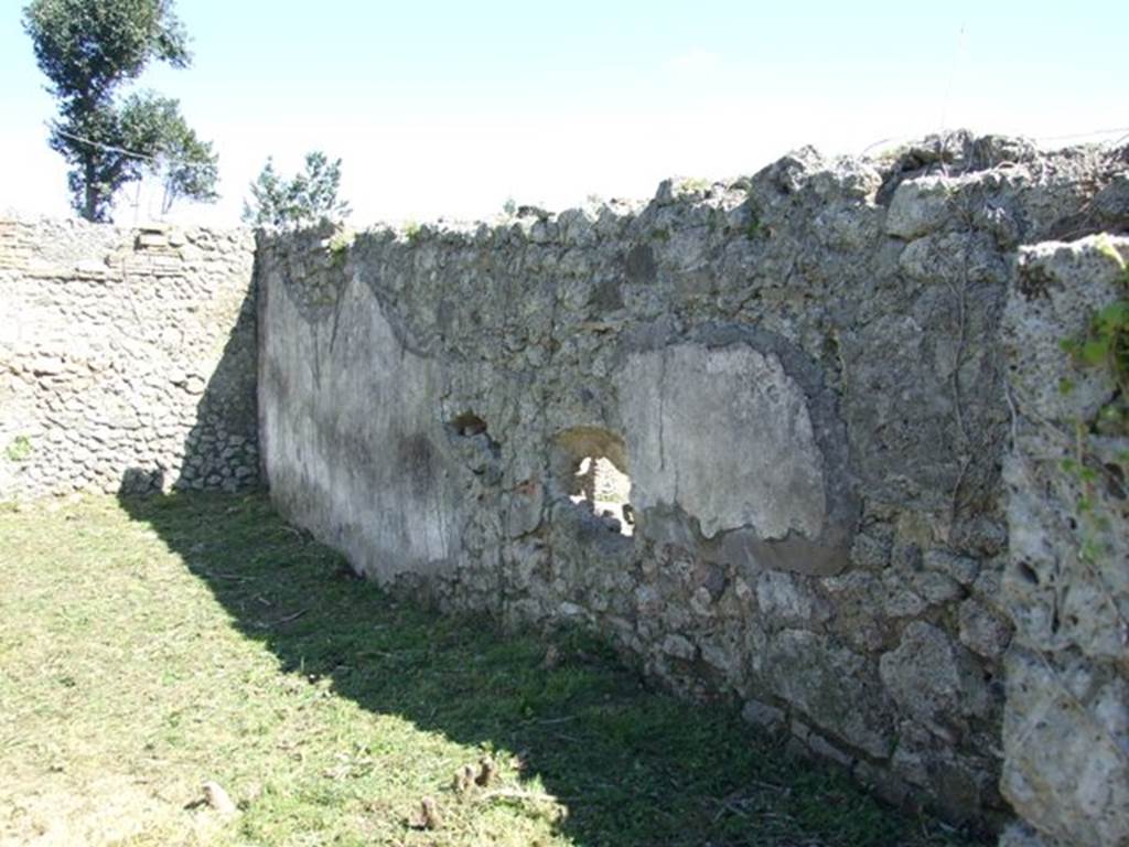 I.2.17 Pompeii.  March 2009. Room 13. Peristyle Garden, South wall.