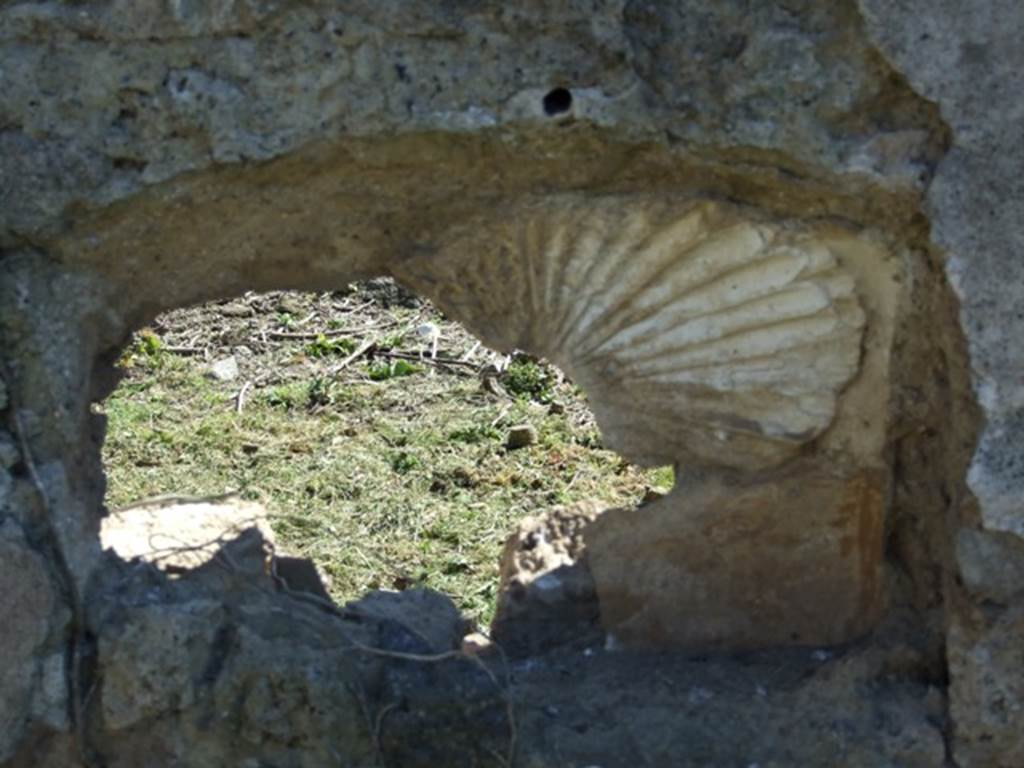 I.2.17 Pompeii.  March 2009.   Room 13. South wall. Remains of stucco shell decoration.