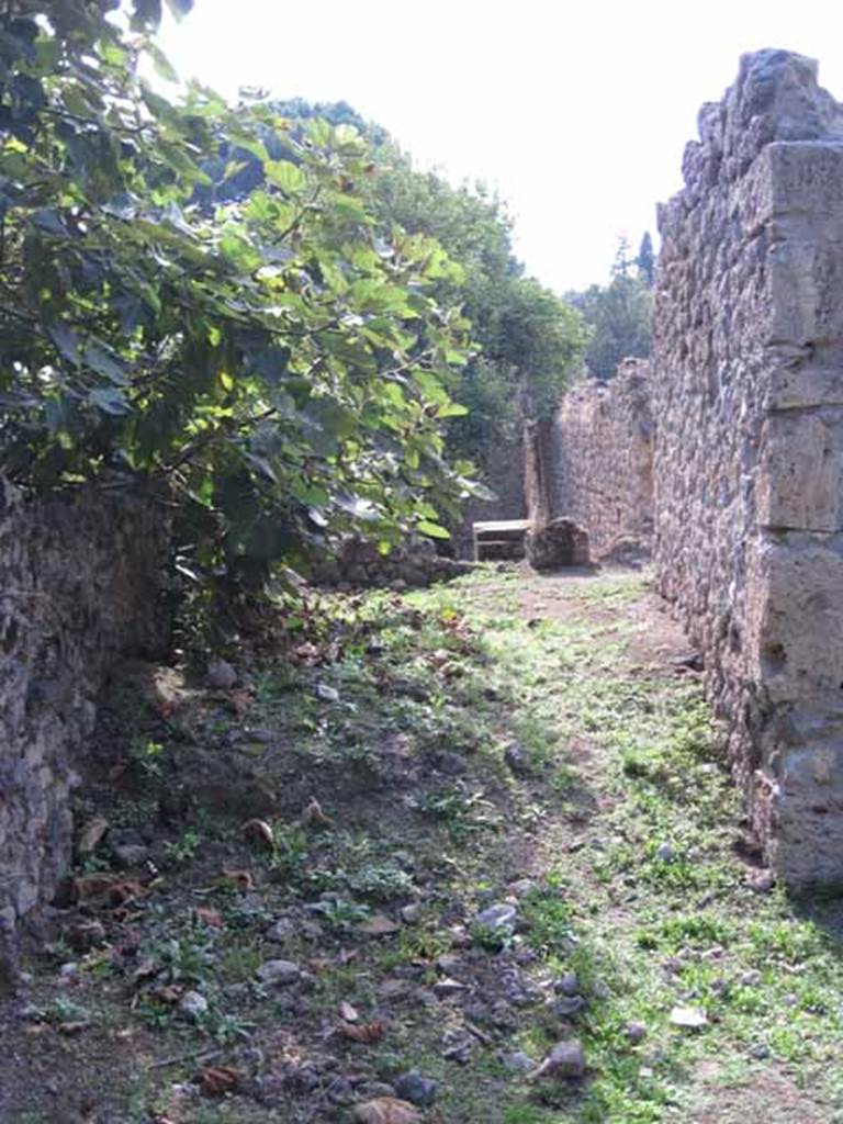 I.5.3 Pompeii. September 2010.  Small room or stable, on west side of large open area. Photo courtesy of Drew Baker. Jashemski reported that a watering trough for animals could still be seen. See Jashemski, W. F., 1993. The Gardens of Pompeii, Volume II: Appendices. New York: Caratzas. (p.33)
Possibly, the watering trough is the one in the garden of I.5.2, on the south-west corner of this rear wall.


