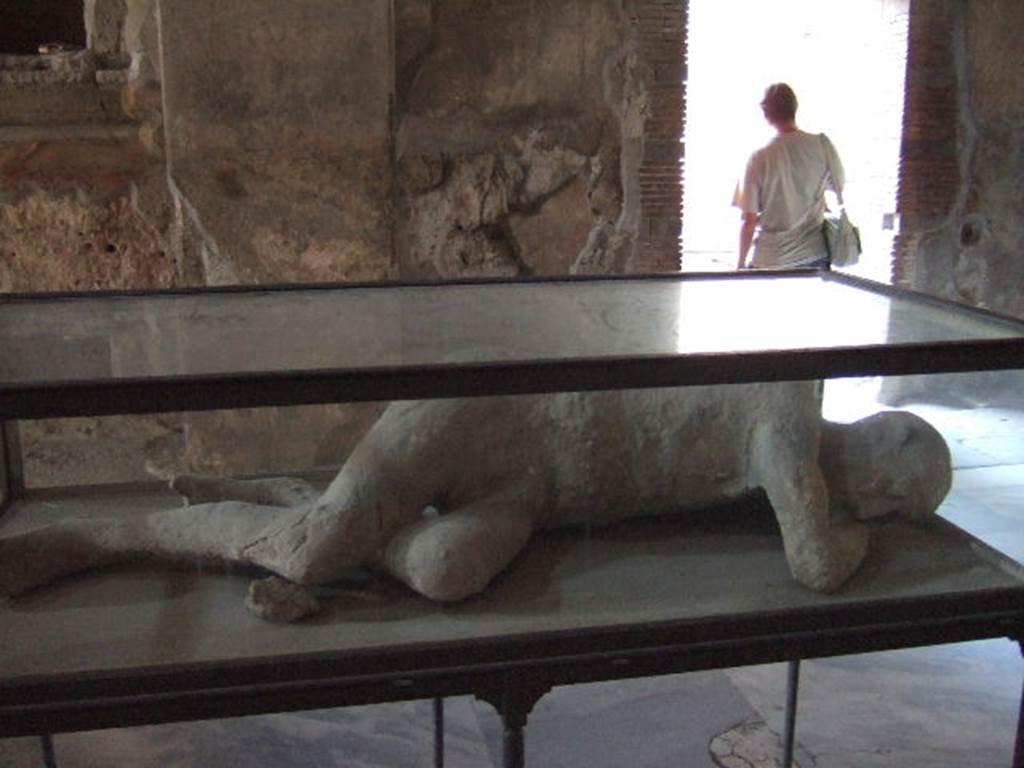 Found in I.5.3. in 1873, now on display in VII.1.8 The Stabian Baths, men’s changing room. 
Known as the Seventh Victim or The Sick Man or the Sleeping Man.
This plaster cast was recovered by Fiorelli on 25th September 1873 during the excavation of the garden of I.5.3.  
This was one of the human plaster casts, as were in the Pompeii Antiquarium prior to the 1943 bombing – then either destroyed or now restored and on display elsewhere.
See Pappalardo, U., 2001. La Descrizione di Pompei per Giuseppe Fiorelli (1875). Napoli: Massa Editore. (p.165)
See SSANP: Boscoreale Antiquarium exhibition catalogue: The Casts, 5 March – 20 December 2010. (p.7)
See Garcia y Garcia, L., 2006. Danni di guerra a Pompei. Rome: L’Erma di Bretschneider. (p.191)
See Dwyer, E., 2010. Pompeii’s Living Statues. Univ. of Michigan Press. (p.85)