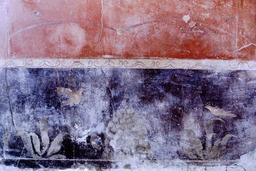 I.6.7 Pompeii. 1968. Detail from zoccolo in centre of north wall of oecus to east of atrium. On the black zoccolo were two painted birds, an omphalos of ivy, and painted plants. Photo by Stanley A. Jashemski.
Source: The Wilhelmina and Stanley A. Jashemski archive in the University of Maryland Library, Special Collections (See collection page) and made available under the Creative Commons Attribution-Non Commercial License v.4. See Licence and use details. J68f0648