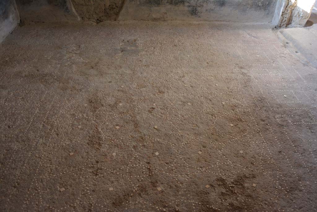 I.6.15 Pompeii. October 2019. Room 13, looking west across flooring.        
Foto Annette Haug, ERC Grant 681269 DÉCOR

