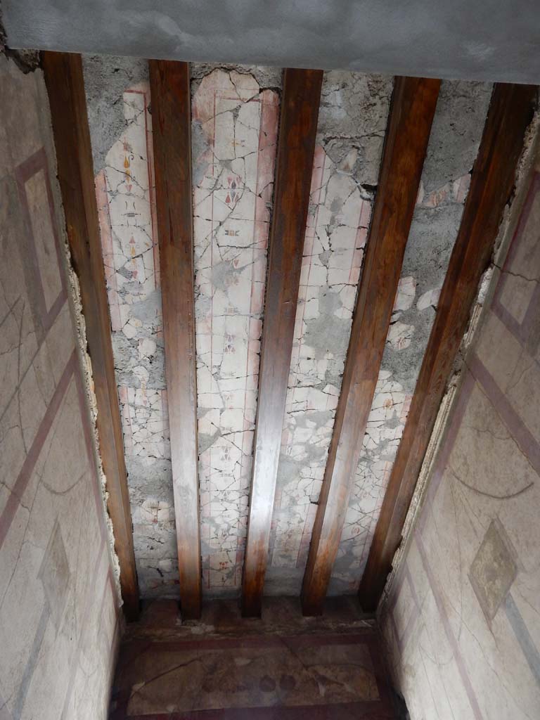 I.6.15 Pompeii. June 2019. Entrance corridor/fauces. 
Looking south along recomposed ceiling towards painted plaster panel above doorway of bird and fruit.
Photo courtesy of Buzz Ferebee.
