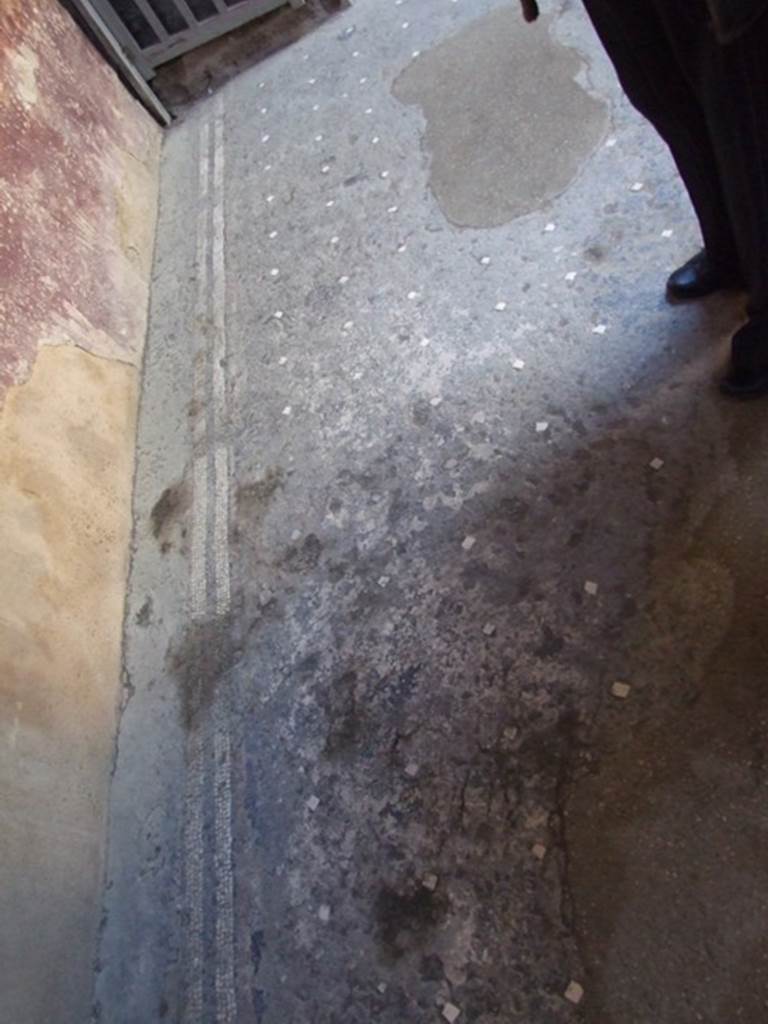 I.6.15 Pompeii. March 2009. Room 4, Atrium floor.