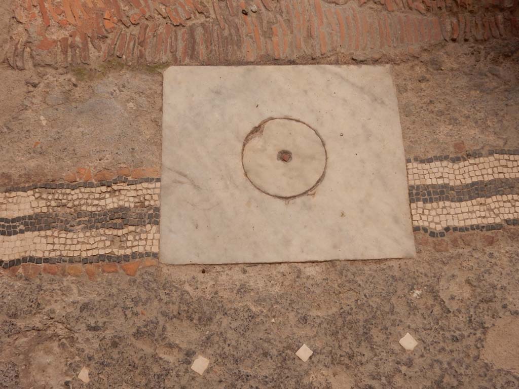 I.6.15 Pompeii. June 2019. Room 4, cistern mouth on north side of impluvium.
Photo courtesy of Buzz Ferebee.
