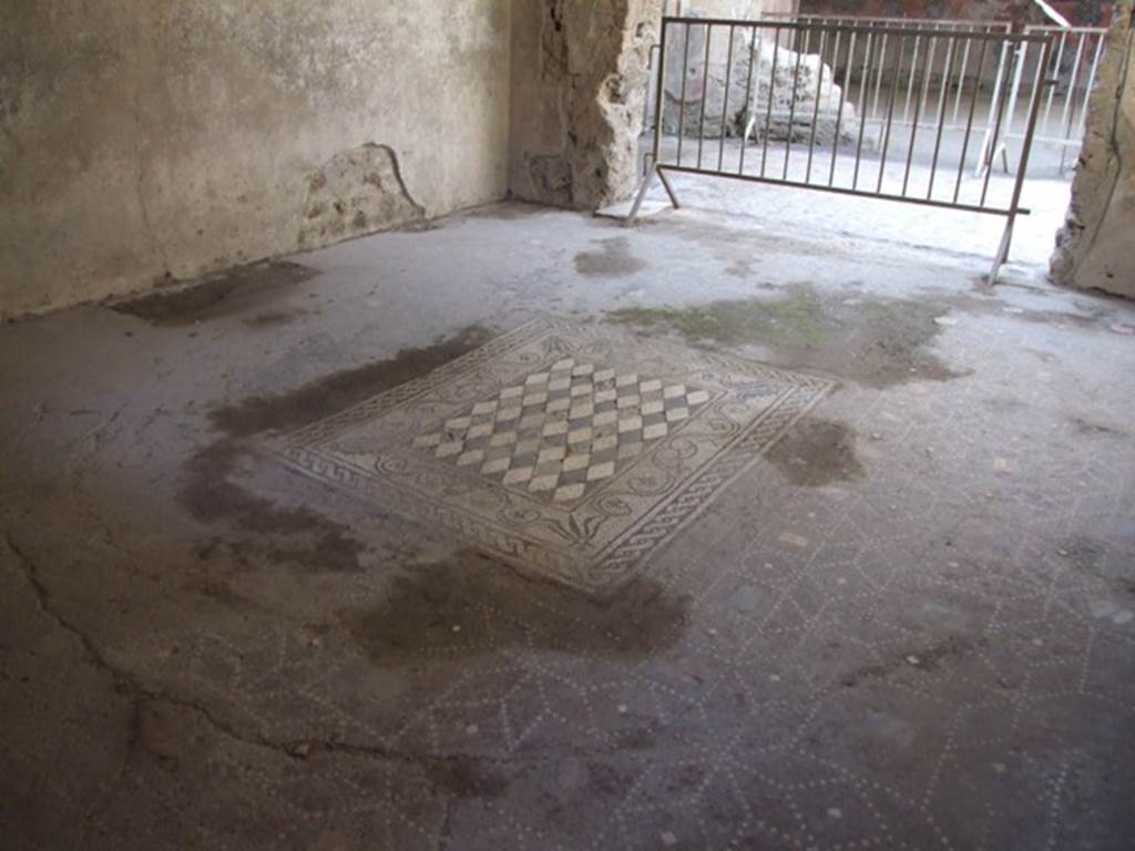 I.6.15 Pompeii.  March 2009.   Room 6, Tablinum. Mosaic floor.