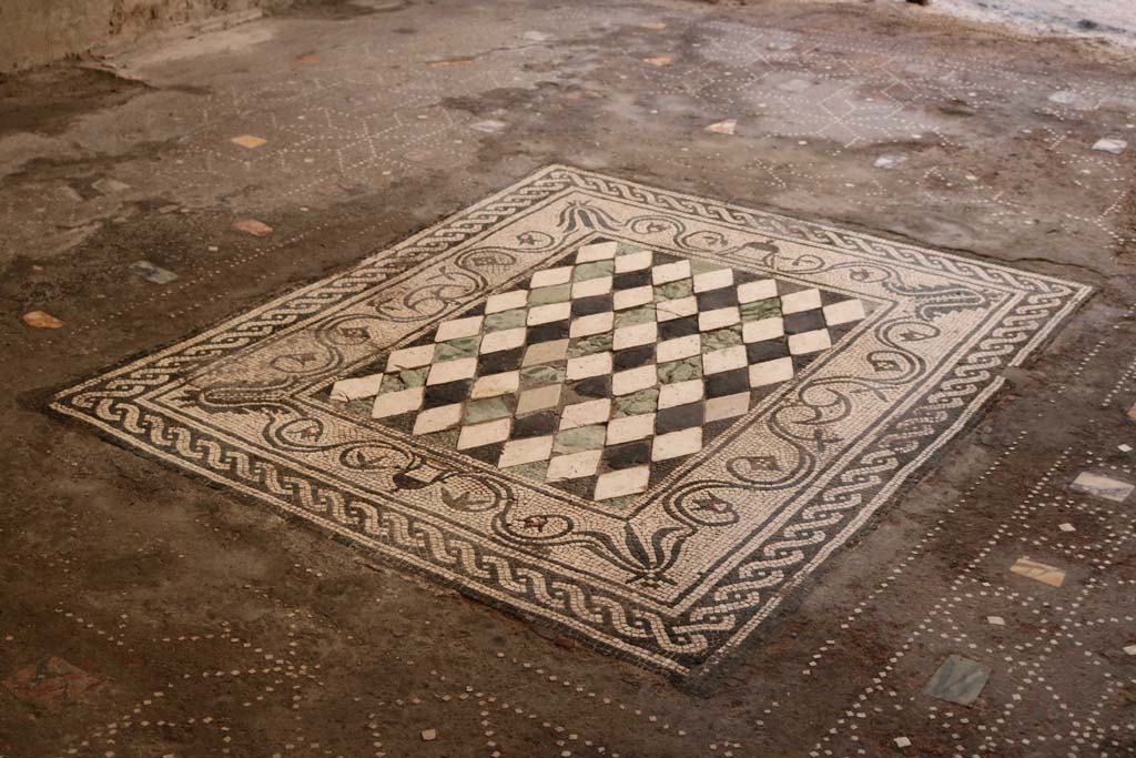 I.6.15 Pompeii. December 2018. Room 6, looking north across mosaic floor in tablinum. Photo courtesy of Aude Durand.