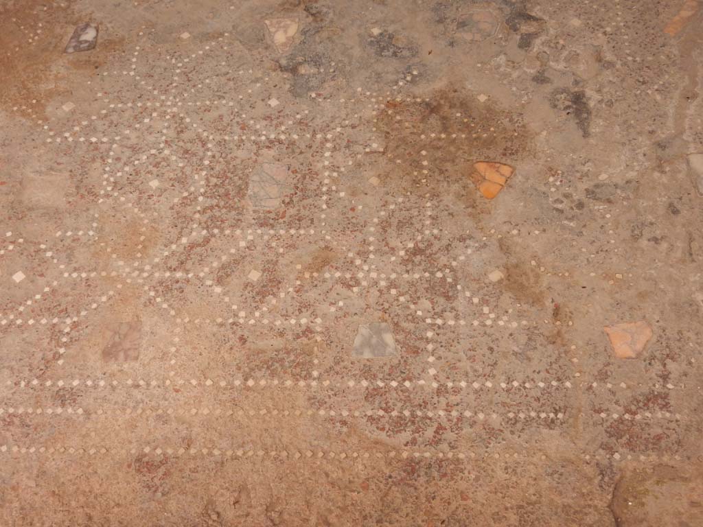 I.6.15 Pompeii. June 2019. Room 6, detail of flooring in tablinum. Photo courtesy of Buzz Ferebee.