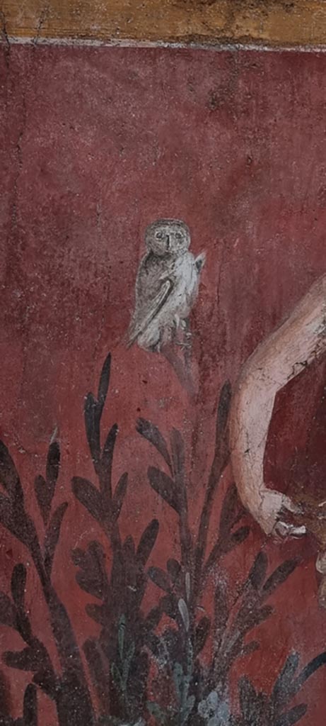 I.6.15 Pompeii. December 2023.
Room 9, painted owl on south-west side of small garden. 
Photo courtesy of Miriam Colomer.
