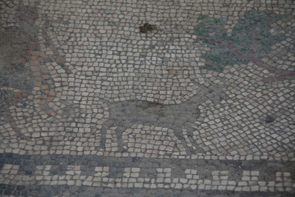 I.7.1 Pompeii. April 2013. Detail of mosaic flooring, Goat in centre of south end of entrance corridor.
Photo courtesy of Klaus Heese.
