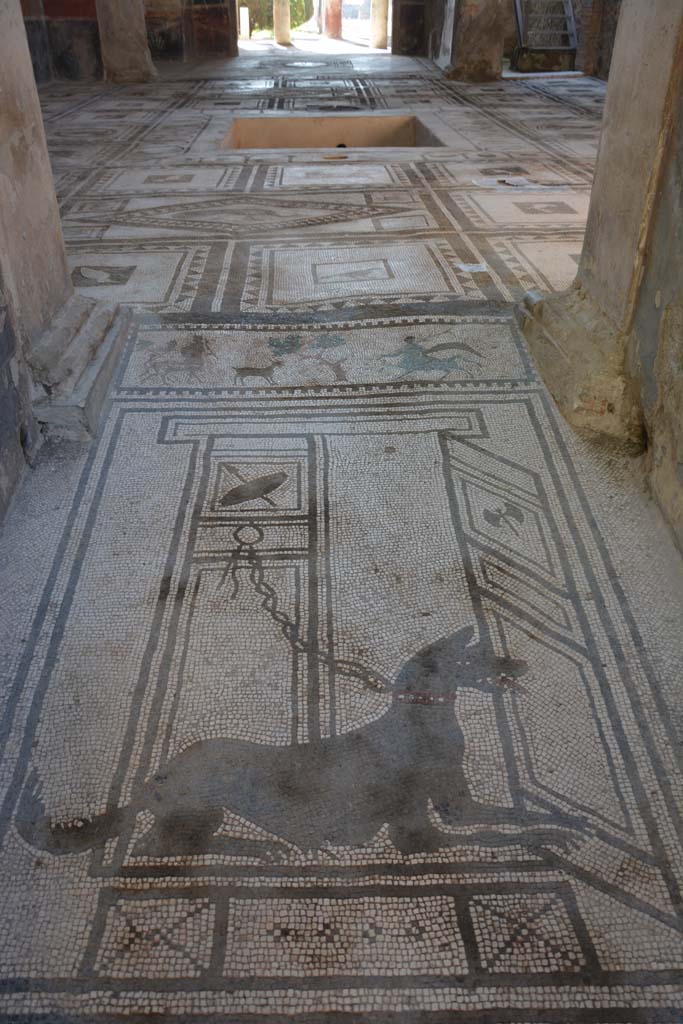 I.7.1 Pompeii. October 2019. Entrance mosaic of guard dog, looking south across atrium.
Foto Annette Haug, ERC Grant 681269 DÉCOR.
