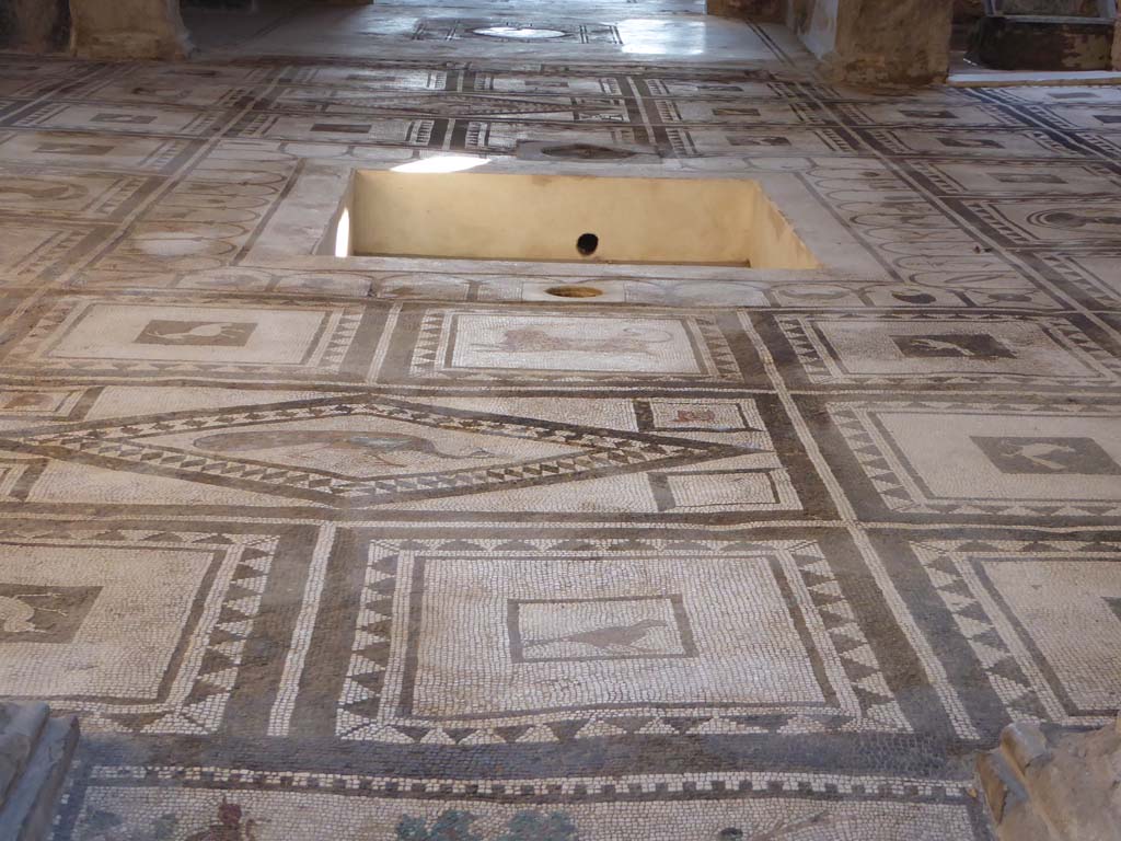 I.7.1 Pompeii. January 2017. Looking south across atrium mosaic floor, from entrance corridor.
Foto Annette Haug, ERC Grant 681269 DÉCOR.
