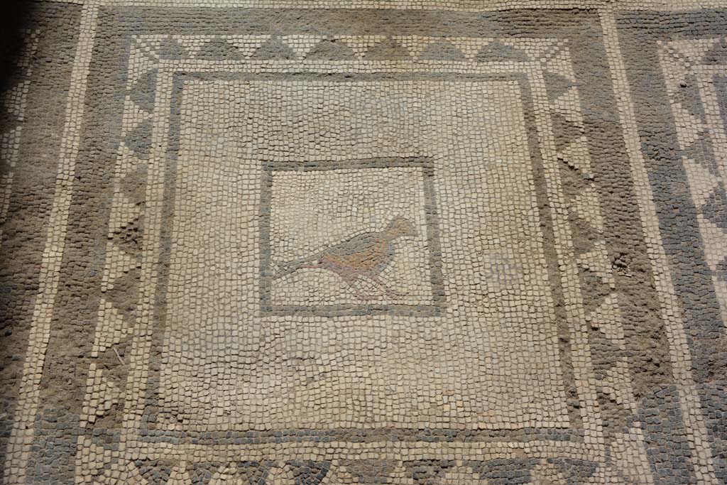 I.7.1 Pompeii. October 2019. Detail of mosaic bird from floor in atrium.
Foto Annette Haug, ERC Grant 681269 DÉCOR.
