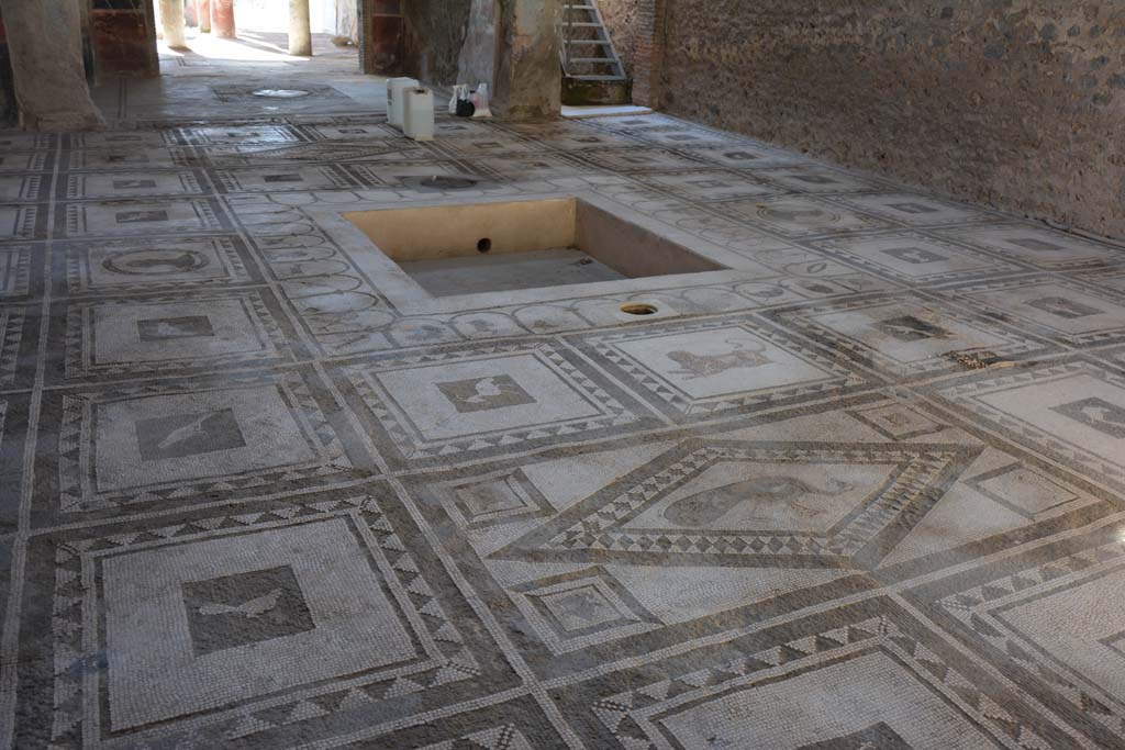 I.7.1 Pompeii. October 2019. Looking south-west across atrium and impluvium.
Foto Annette Haug, ERC Grant 681269 DÉCOR.

