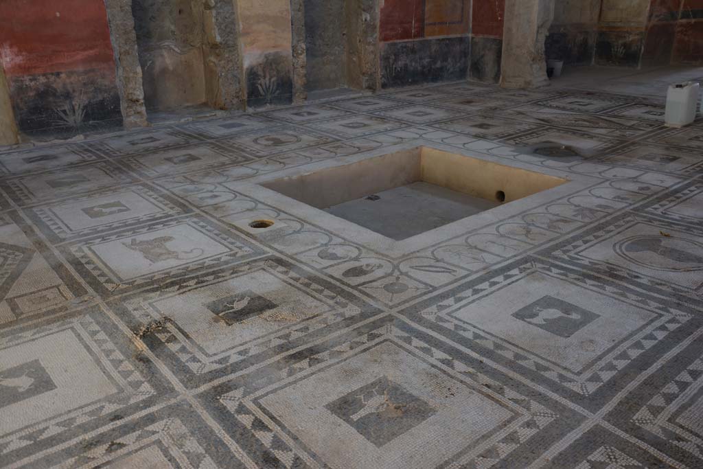 I.7.1 Pompeii. October 2019. Looking south-east across impluvium in atrium
Foto Annette Haug, ERC Grant 681269 DÉCOR.

