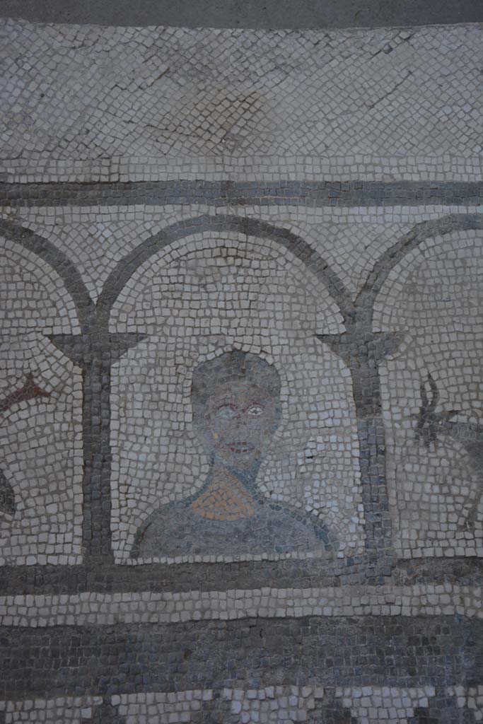 I.7.1 Pompeii. October 2019. Detail from east side of impluvium.
Foto Annette Haug, ERC Grant 681269 DÉCOR.
