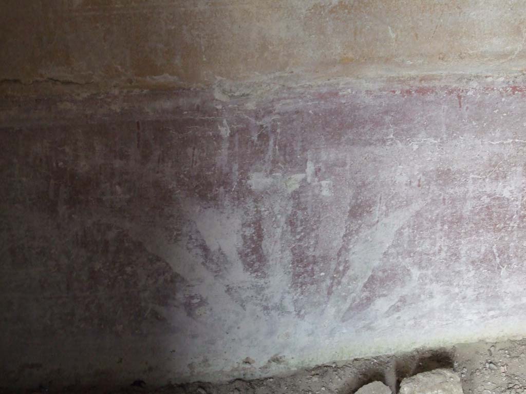 I.9.3 Pompeii. March 2009. Room 10, painted decoration of plants on north wall.