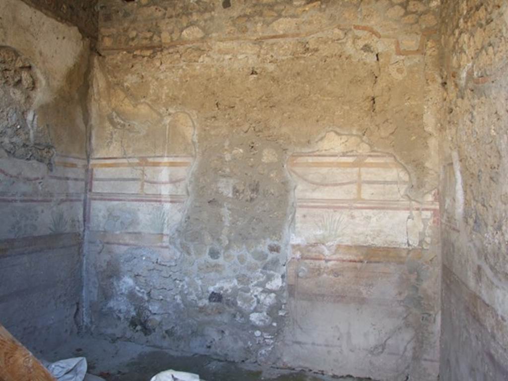 I.10.8 Pompeii.  March 2009.  Room 8. South wall.