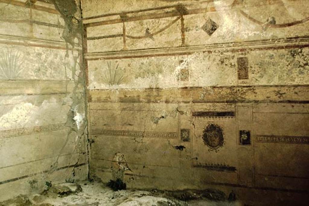 I.10.8 Pompeii. 1959. Room 8, south-west corner of tablinum with painted plant decorations.
Photo by Stanley A. Jashemski.
Source: The Wilhelmina and Stanley A. Jashemski archive in the University of Maryland Library, Special Collections (See collection page) and made available under the Creative Commons Attribution-Non Commercial License v.4. See Licence and use details.
J59f0190
