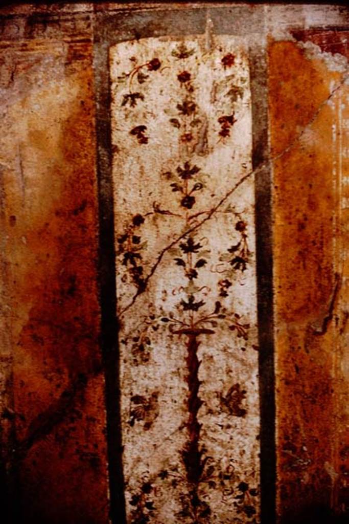 I.11.11 Pompeii. 1964.
Room for the clients/customers, painted decoration from west wall. Photo by Stanley A. Jashemski.
Source: The Wilhelmina and Stanley A. Jashemski archive in the University of Maryland Library, Special Collections (See collection page) and made available under the Creative Commons Attribution-Non-Commercial License v.4. See Licence and use details.
J64f1793