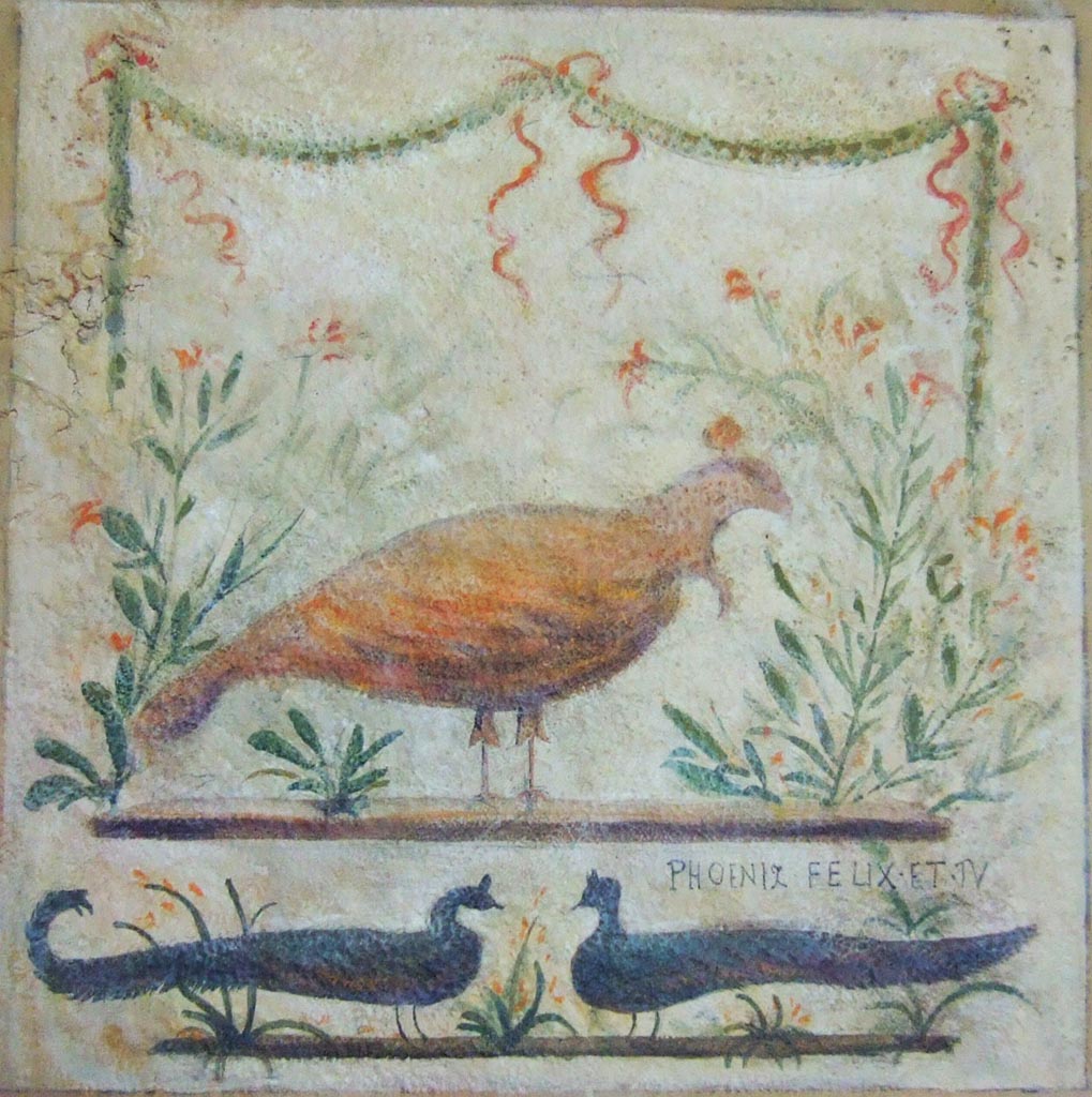 I.11.11 Pompeii. May 2006. Reproduction inn sign, part of a reconstruction of a thermopolium in Naples Museum.
According to Varone and Stefani, the original is now in the deposits at Pompeii.
The painting of the Inn sign had a phoenix with two peacocks and a welcoming inscription.
According to Varone and Stefani, the Inn sign of the phoenix was on the west (left) of the doorway.
On the sign, under the painting of the phoenix, was written –
Phoenix Felix Et Tu      [CIL IV 9850]
According to Cooley, this translated as – “The phoenix is lucky: may you be too.”

See Varone, A. and Stefani, G., 2009. Titulorum Pictorum Pompeianorum, Rome: L’erma di Bretschneider, (p.142-143)
See Cooley, A. and M.G.L., 2004. Pompeii: A Sourcebook. London: Routledge. (p.162)

On the same wall under the Inn sign, CIL IV 9851 was found.
According to Epigraphik-Datenbank Clauss/Slaby (See www.manfredclauss.de), it read -

Q(uintum)  Postum(ium)  M(arcum)  Cerrinium 
aed(iles)  o(ro)  v(os)  f(aciatis) 
Euxinus  rog(at) 
nec  sine  Iusto  scr(ibit)  Hinnulus    [CIL IV 9851]

According to Cooley, this translated as –
“Euxinus asks you to elect Quintus Postumius and Marcus Cerrinius aediles, together with Iustus.  Hinnulus wrote this”.
See Cooley, A. and M.G.L., 2004. Pompeii: A Sourcebook. London: Routledge. (p.116)
