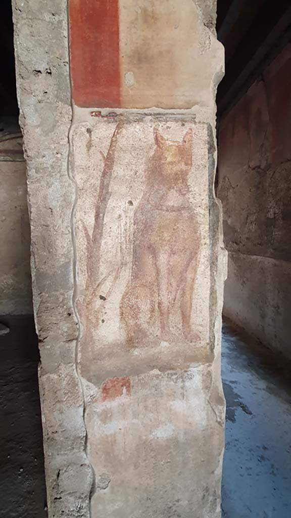 I.12.3 Pompeii. July 2021.
Pillar with painted dog, with corridor to garden at rear, on right.
Foto Annette Haug, ERC Grant 681269 DÉCOR