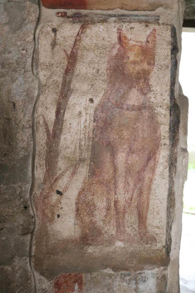 I.12.3 Pompeii. December 2018.
Room 1, painted guard dog in courtyard. Photo courtesy of Aude Durand.