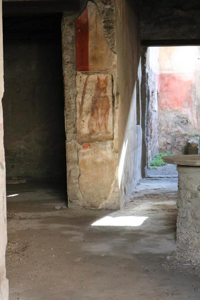 I.12.3 Pompeii. December 2018.
Doorway to room 2, pilaster with painted guard dog, and corridor to rear. Photo courtesy of Aude Durand.