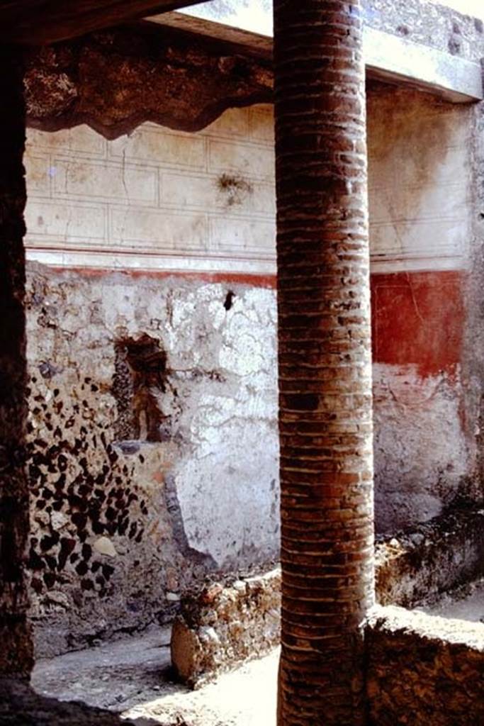 I.12.3 Pompeii. 1974. Looking east from north passageway of garden area. 
Photo by Stanley A. Jashemski.   Source: The Wilhelmina and Stanley A. Jashemski archive in the University of Maryland Library, Special Collections (See collection page) and made available under the Creative Commons Attribution-Non Commercial License v.4. See Licence and use details. J74f0852



