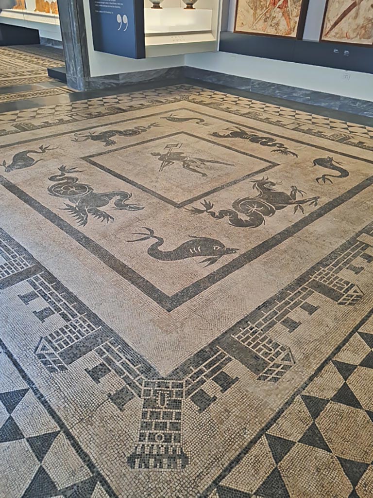 II.4.6 Pompeii. June 2024. Looking across mosaic floor with a marine scene. 
On display in Naples Archaeological Museum, room CXXXII (132).  Photo courtesy of Giuseppe Ciaramella.

