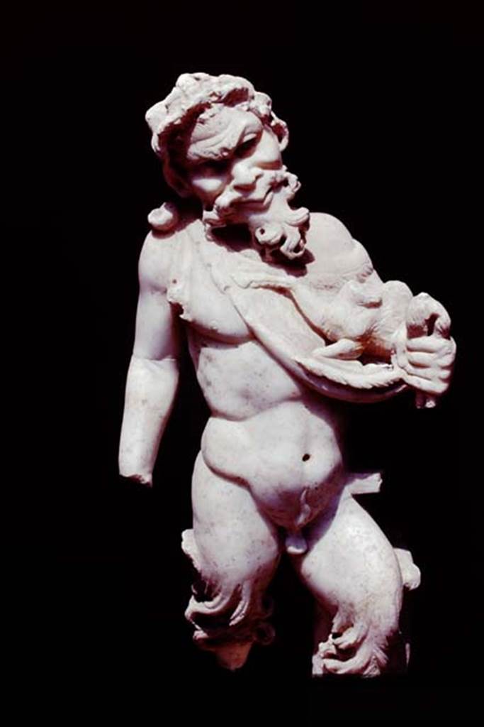 II.4.6 Pompeii, 1978. Statuette of marble satyr found at the north end of the pool.
Photo by Stanley A. Jashemski.   
Source: The Wilhelmina and Stanley A. Jashemski archive in the University of Maryland Library, Special Collections (See collection page) and made available under the Creative Commons Attribution-Non Commercial License v.4. See Licence and use details. J78f0589
