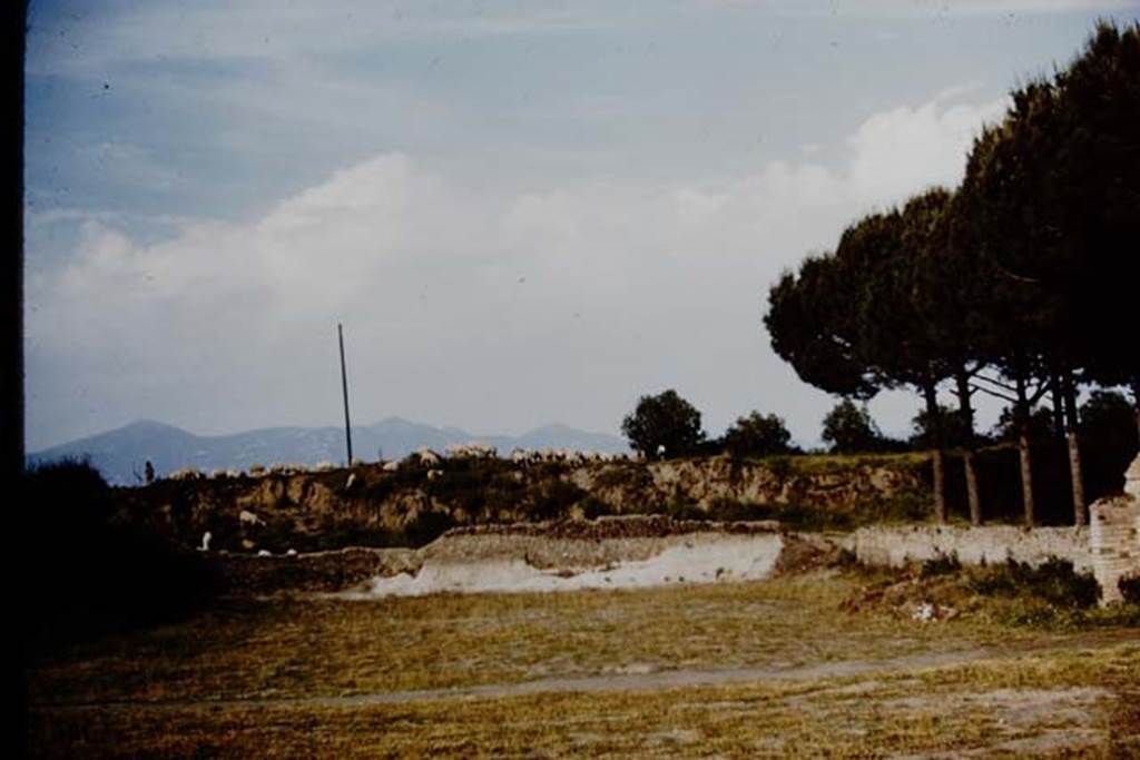 II.5 Pompeii. 1961. Looking east across site towards a flock of sheep on their way to their grazing for the day. Photo by Stanley A. Jashemski.
Source: The Wilhelmina and Stanley A. Jashemski archive in the University of Maryland Library, Special Collections (See collection page) and made available under the Creative Commons Attribution-Non Commercial License v.4. See Licence and use details.
J61f0227