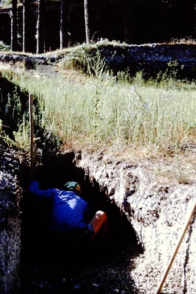 II.5 Pompeii . 1966. Trial trench dug on the east side, where there was still a covering of the original volcanic debris. Photo by Stanley A. Jashemski.
Source: The Wilhelmina and Stanley A. Jashemski archive in the University of Maryland Library, Special Collections (See collection page) and made available under the Creative Commons Attribution-Non Commercial License v.4. See Licence and use details.
J66f0158