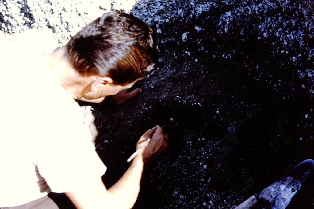 II.5 Pompeii. 1966. After digging down more than 4 feet to the original AD79 level, a cavity left by the decay of a large root was discovered. Photo by Stanley A. Jashemski.
Source: The Wilhelmina and Stanley A. Jashemski archive in the University of Maryland Library, Special Collections (See collection page) and made available under the Creative Commons Attribution-Non Commercial License v.4. See Licence and use details.
J66f0160