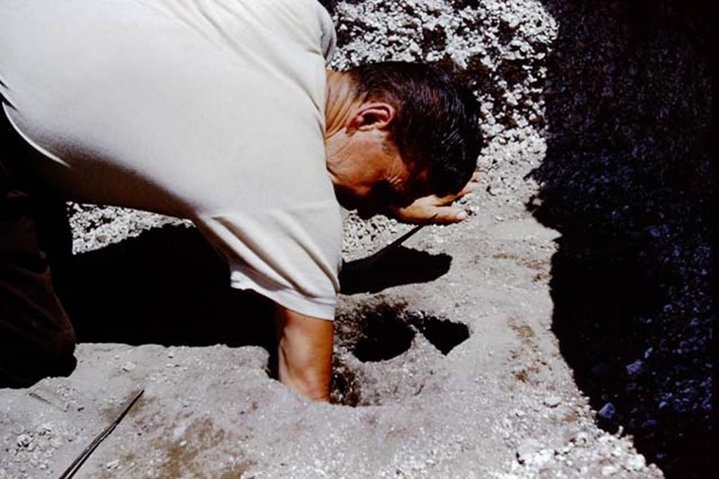 II.5 Pompeii. 1966. Putting the finishing touches to the cavity, before filling with cement.
Photo by Stanley A. Jashemski.
Source: The Wilhelmina and Stanley A. Jashemski archive in the University of Maryland Library, Special Collections (See collection page) and made available under the Creative Commons Attribution-Non Commercial License v.4. See Licence and use details.
J66f0166