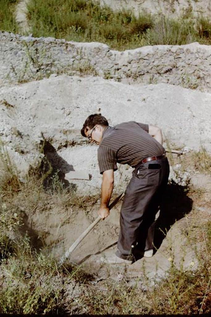 II.5 Pompeii. 1966. Digging through the backfill. Photo by Stanley A. Jashemski.
Source: The Wilhelmina and Stanley A. Jashemski archive in the University of Maryland Library, Special Collections (See collection page) and made available under the Creative Commons Attribution-Non Commercial License v.4. See Licence and use details.
J66f0268