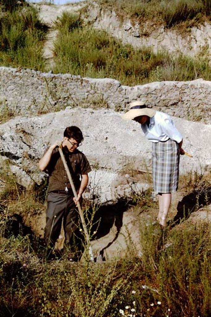 II.5 Pompeii. 1966. David Orr and Wilhelmina making a discovery. Photo by Stanley A. Jashemski.
Source: The Wilhelmina and Stanley A. Jashemski archive in the University of Maryland Library, Special Collections (See collection page) and made available under the Creative Commons Attribution-Non Commercial License v.4. See Licence and use details.
J66f0270