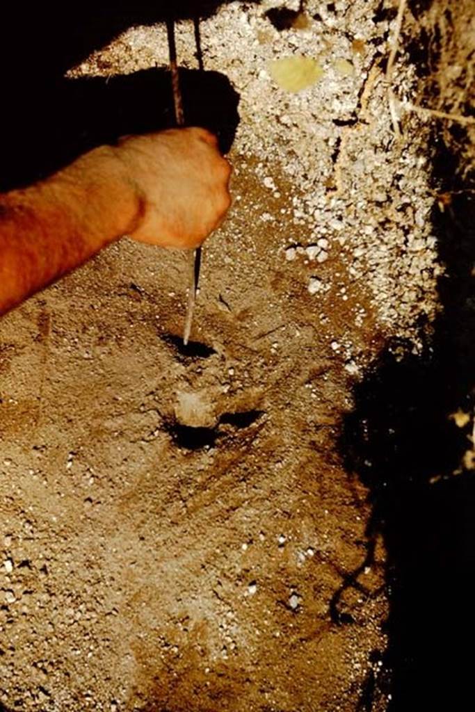 II.5 Pompeii. 1966. A few small cavities were discovered and dug-out over the next few days, on the east side of the site. Photo by Stanley A. Jashemski.
Source: The Wilhelmina and Stanley A. Jashemski archive in the University of Maryland Library, Special Collections (See collection page) and made available under the Creative Commons Attribution-Non Commercial License v.4. See Licence and use details.
J66f0293